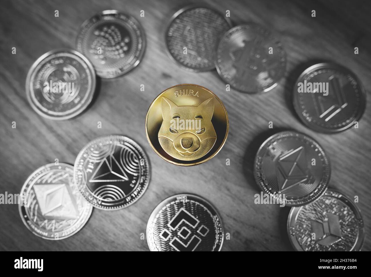 Shiba Inu- oder Shib-Münzen werden zentral zwischen den Krypto-Münzen platziert. Nahaufnahme, Weichfokus. Banner mit goldener Shiba-Marke. Schwarz und Weiß außer Gelb, selektive Farbe. Stockfoto