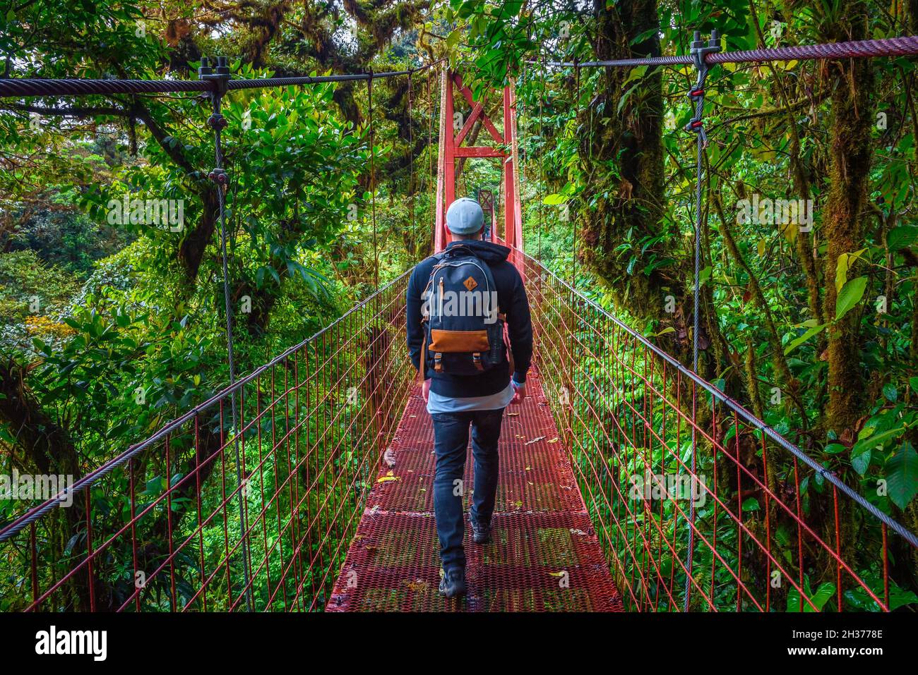 Tourist Wandern auf einer Hängebrücke in Monteverde Cloud Forest, Costa Rica Stockfoto