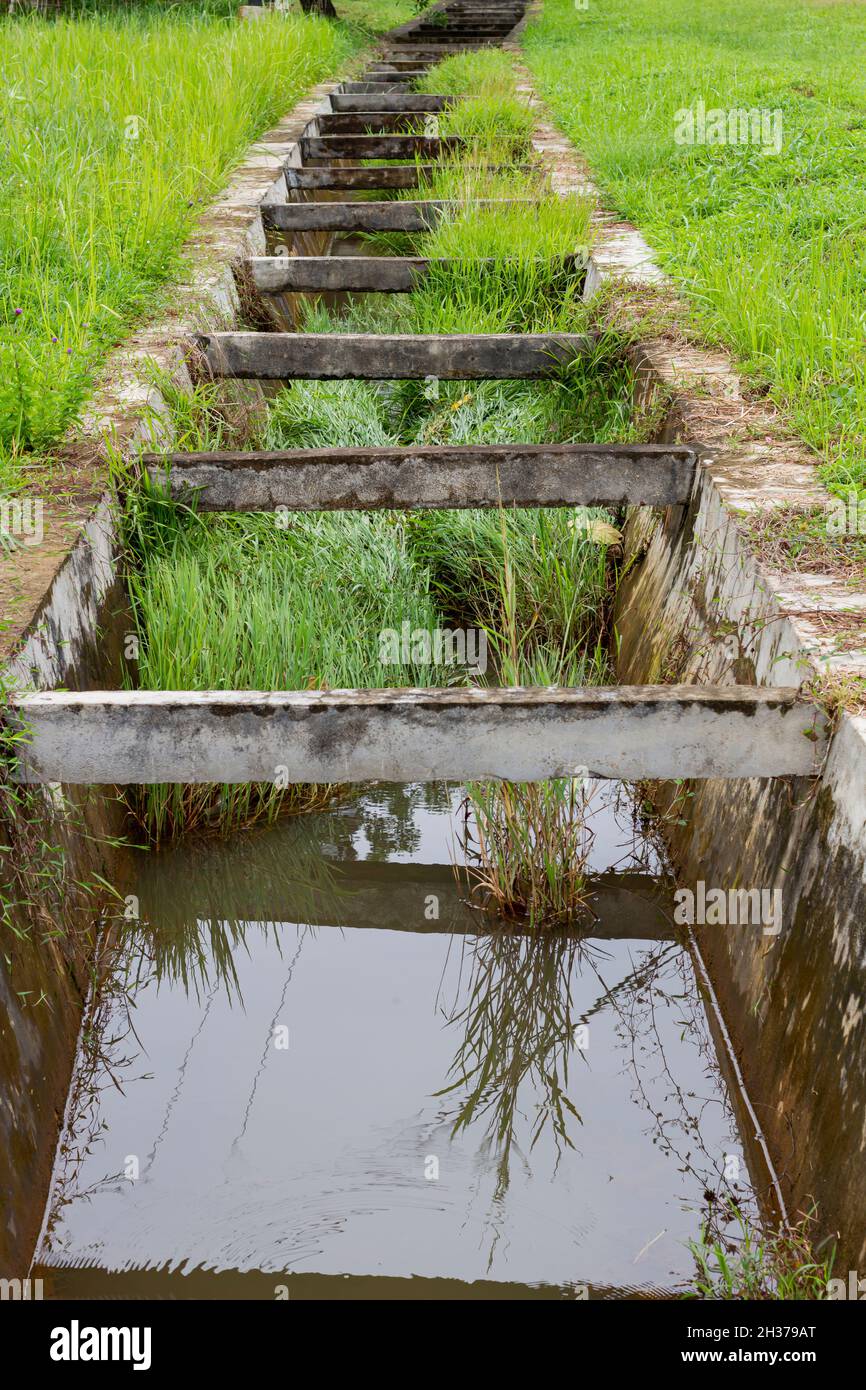 Verstopfte Drainage Kanal wegen Gras, nicht gepflegt Abwasser von Menschen, Porträt-Ansicht, qualitativ hochwertige Bilder Stockfoto
