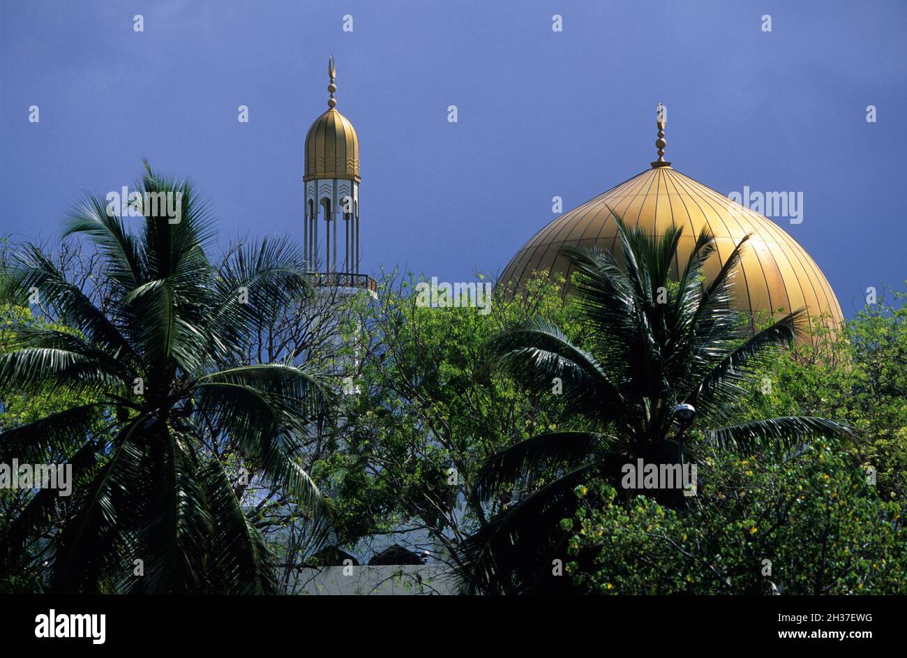 MALEDIVEN-INSELN, DIE MOSCHEE IN MALE (HAUPTSTADT) Stockfoto