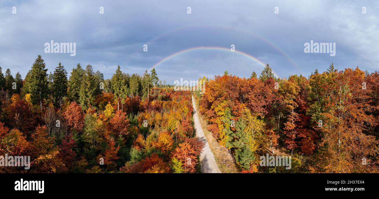 Atemberaubender Regenbogen über bunten Bäumen in der Herbstsaison, Konzept für die schöne Natur an einem wunderschönen Tag im Herbst. Stockfoto