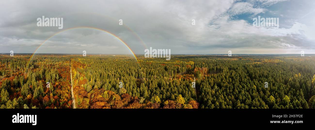 Fantastischer Herbst - eine Regenbox über einer Landstraße, die durch einen herbstfarbenen Wald führt, als Drohne von oben geschossen wurde. Stockfoto