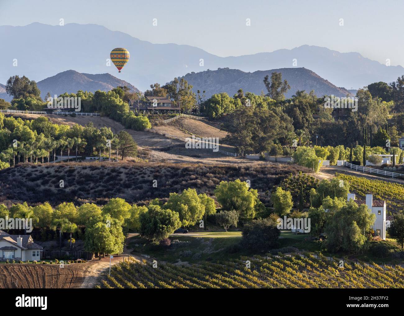 Heißluftballon über dem Temecula Valley Wine Country, Kalifornien Stockfoto
