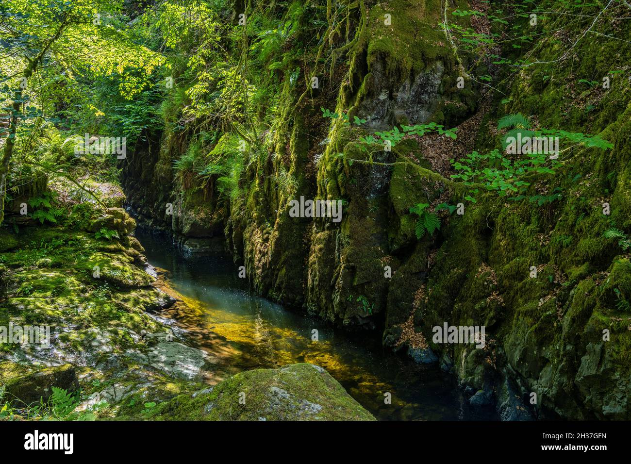 Moness Burn bei den Birks of Aberfeldy in Highland Perthshire, Schottland, Großbritannien Stockfoto