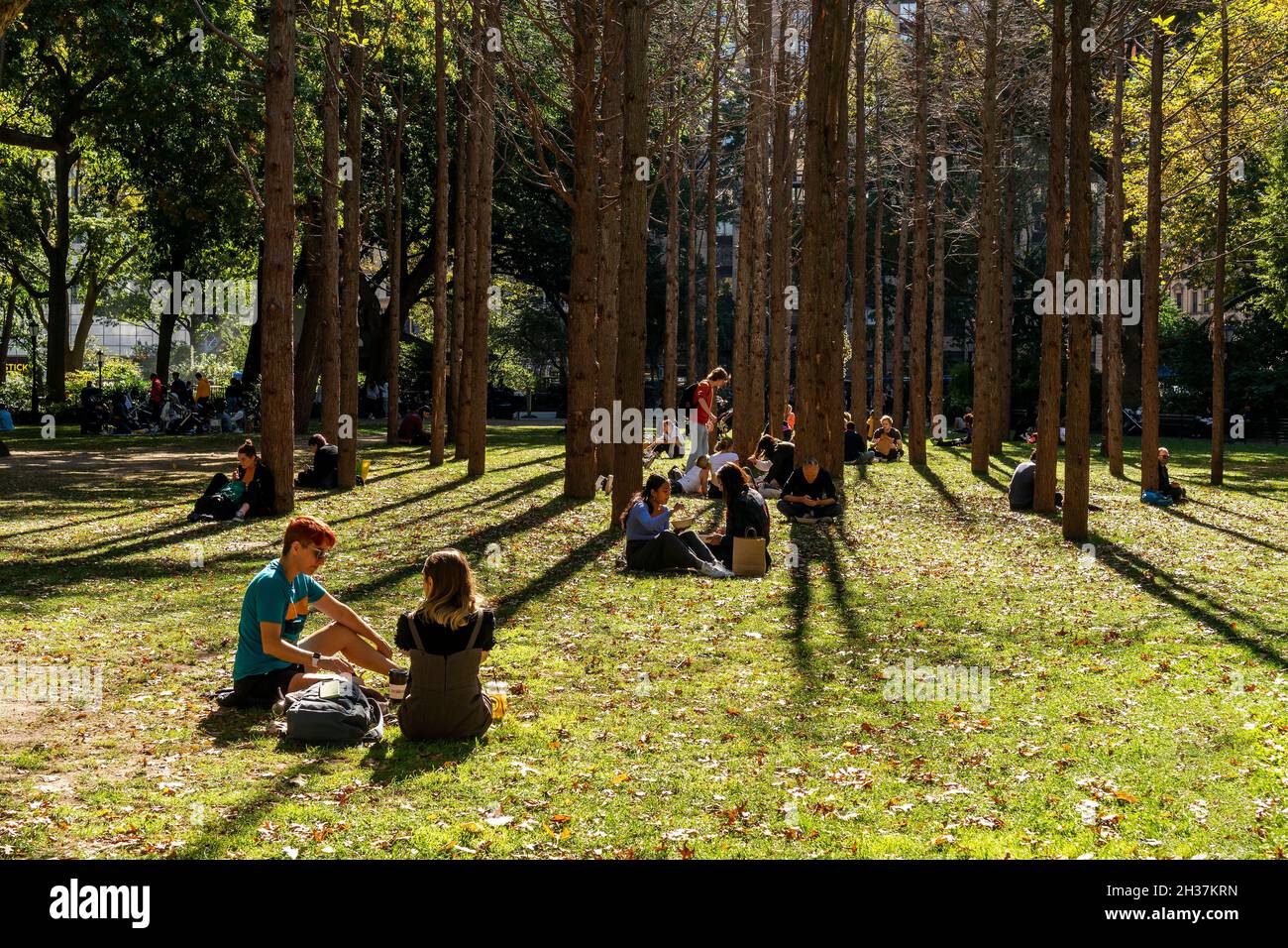 Besucher inmitten der Bäume von Maya Lins „Ghost Forest“ auf dem Rasen im Madison Square Park in New York am Mittwoch, den 20. Oktober 2021, genießen das für die Jahreszeit unangenehme warme Herbstwetter. (© Richard B. Levine) Stockfoto