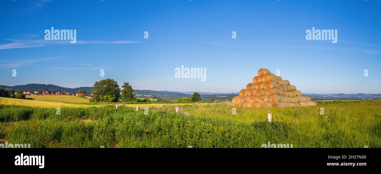 Stapel von Strohballen auf Grasfeld, Landschaft mit Wiese, Wald und Hügeln Stockfoto
