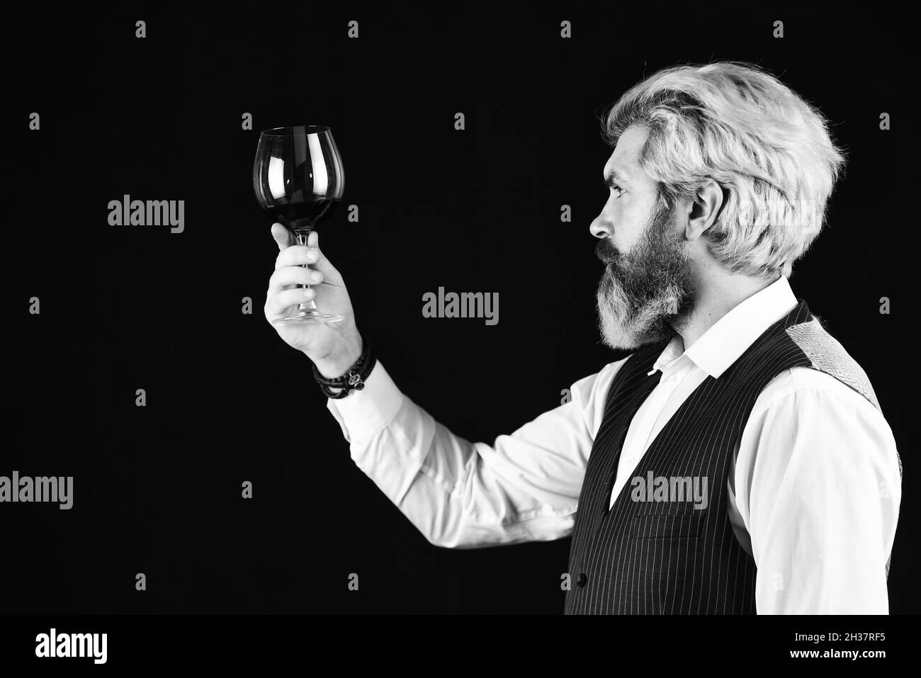 Cheers an Freunde. Männlicher erfahrener Sommelier schätzt alkoholisches Getränk. Rotwein in Weinläsern. Bärtiger Mann erforscht den Geschmack von Wein im Restaurant Stockfoto