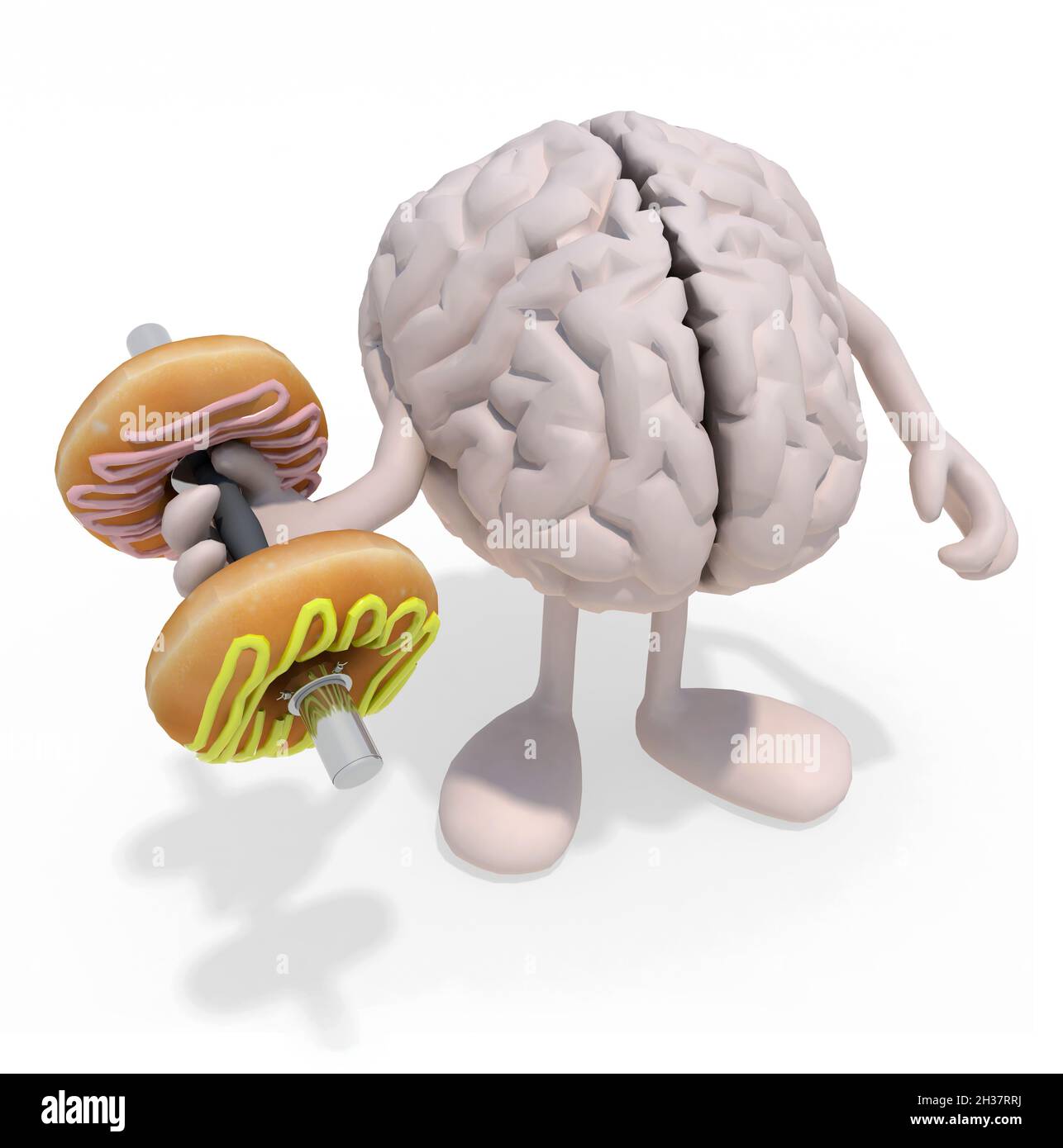 Human Brain Cartoon Training mit Donuts statt Gewicht, 3d-Illustration Stockfoto