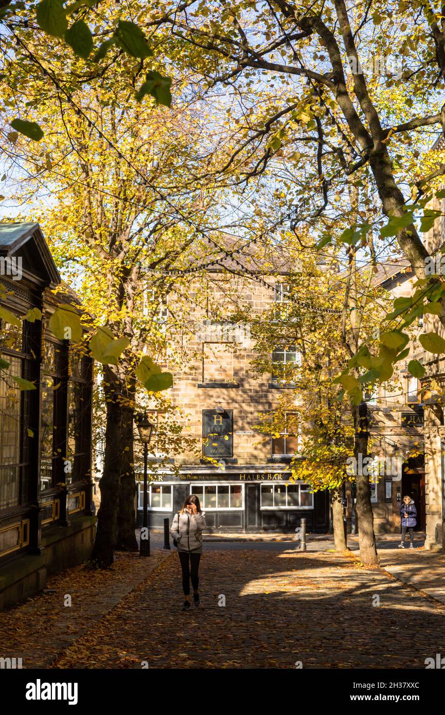 Angenehmes Wohngebiet und Häuser in Harrogate, Yorkshire, UK 2021 Stockfoto