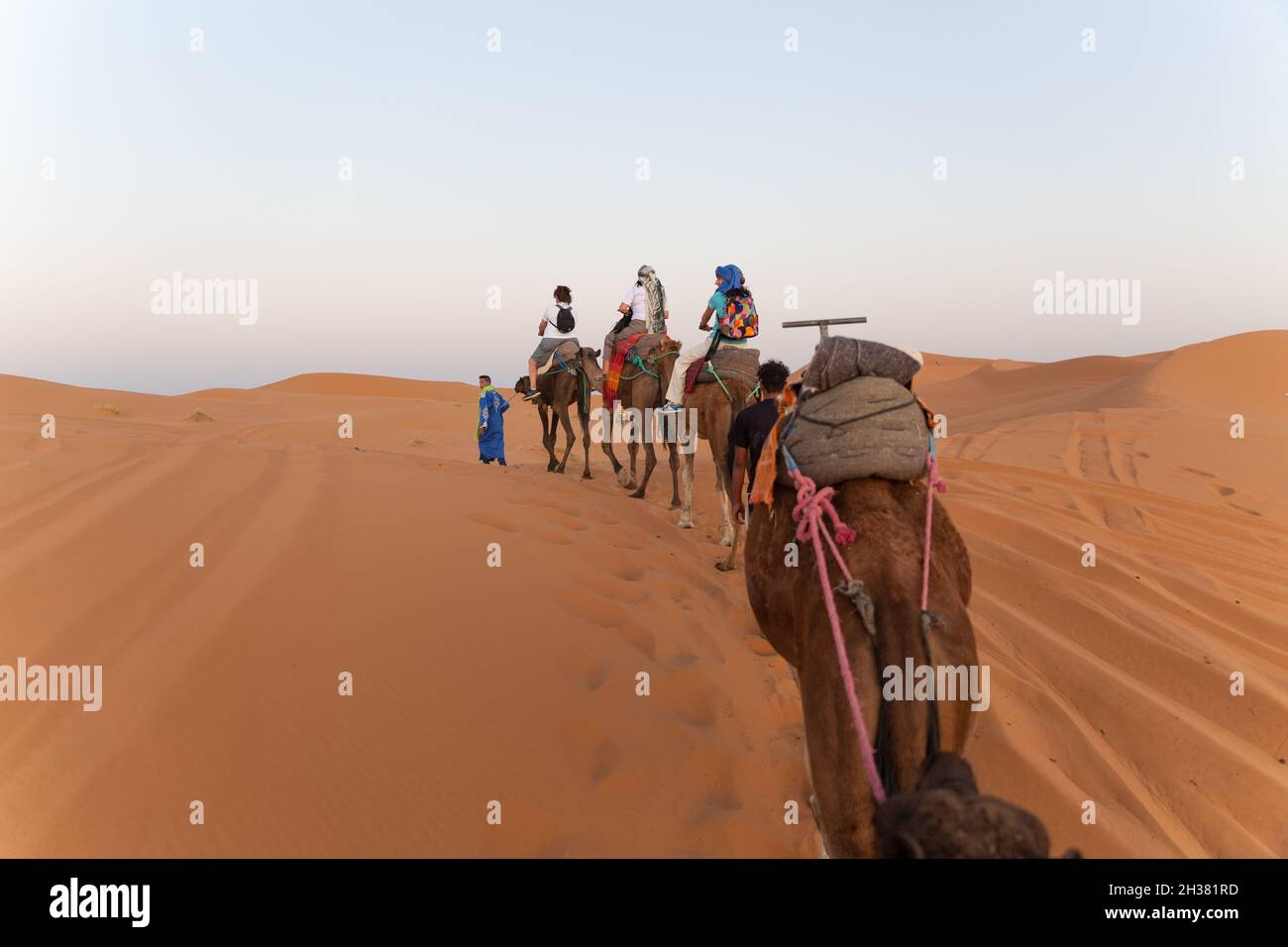 Eine Gruppe von Touristen besucht die Wüste der Sahara in einer Kamelkarawane Stockfoto