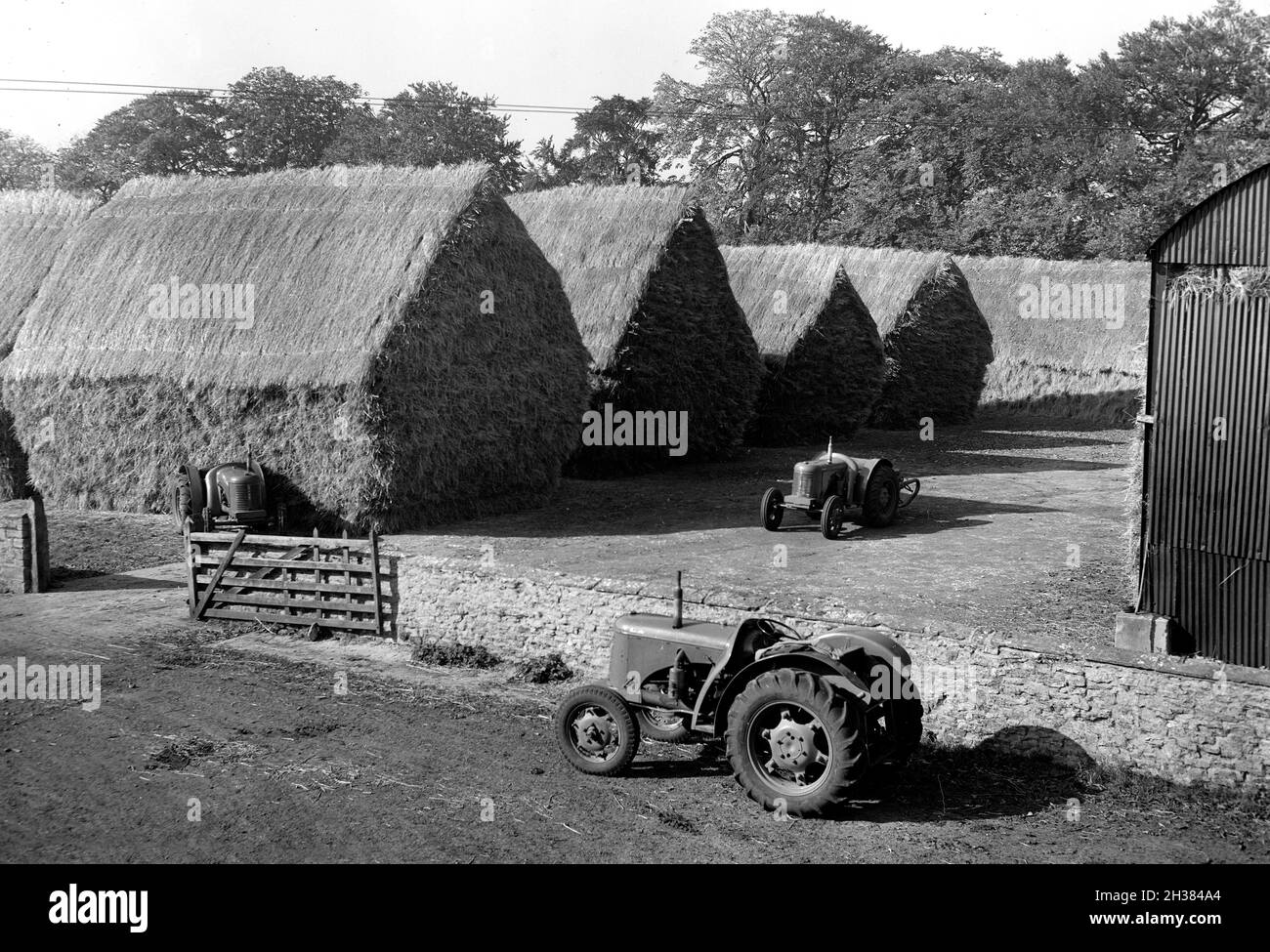 Landwirtschaftliche Traktoren und gestapeltes Heuhaufen Großbritannien der 1950er Jahre Stockfoto