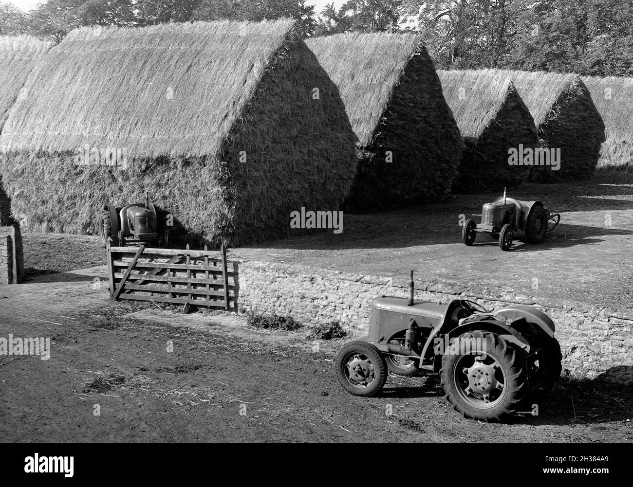 Landwirtschaftliche Traktoren und gestapeltes Heuhaufen Großbritannien der 1950er Jahre Stockfoto