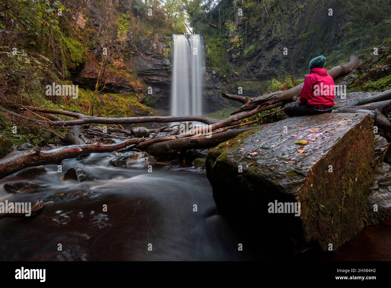 Editorial Coelbren, Großbritannien - 25. Oktober 2021: Henrhyd Falls am Nant Llech River in der Nähe von Coelbren, mit einem Tropfen von 90 Fuß ist es der höchste Wasserfall in S Stockfoto