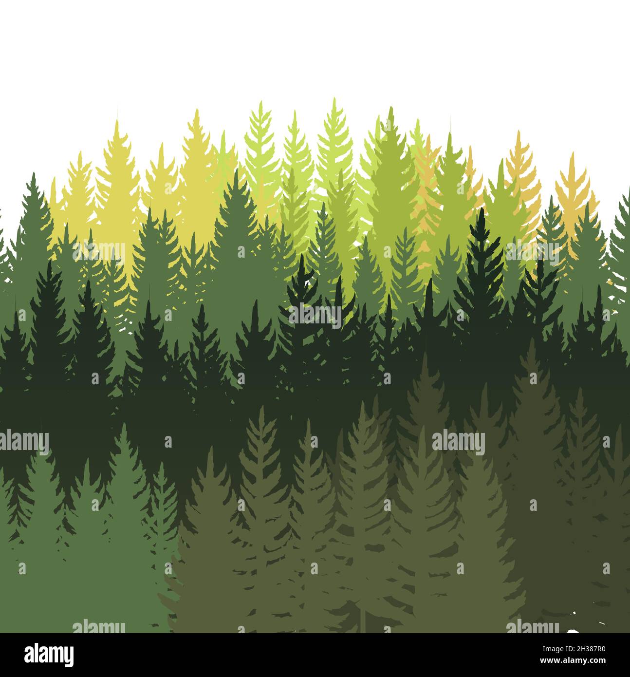 Waldhintergrund. Silhouette Panorama. Landschaft mit Bäumen. Nadelbäume. Wunderschöne Aussicht. Isoliert. Sommerszene. Illustrationsvektor Stock Vektor