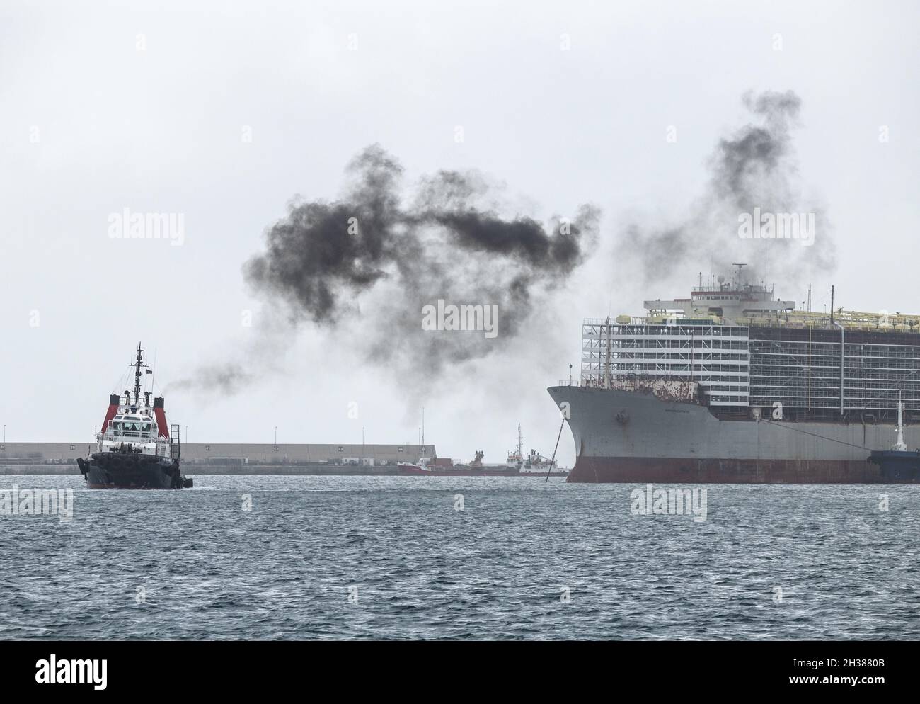 Großes Handelsschiff, das Vieh/Rinder mit einem Schleppboot transportiert, das schwarzen Rauch aufstabt. Stockfoto