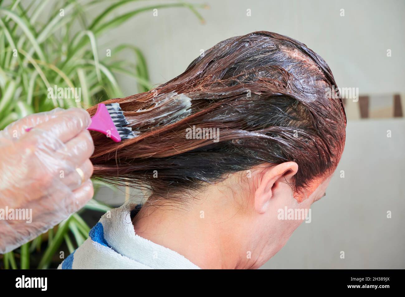 Nahaufnahme eines Mannes, der zu Hause die Haare seiner Frau färbe. Stockfoto