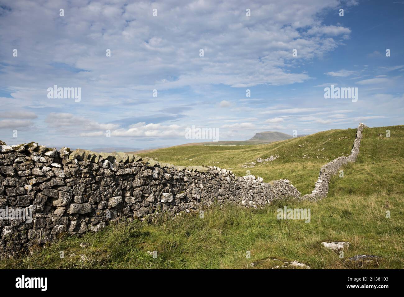 Winskill Stones Naturschutzgebiet, Langcliffe, mit Penyghent in der Ferne, Yorkshire Dales, Großbritannien Stockfoto