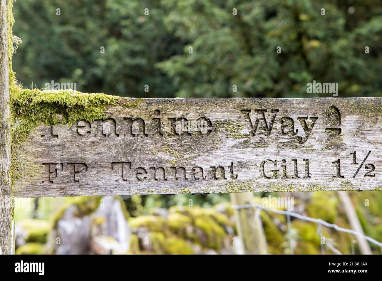 Pennine Way Wegweiser mit Moos bedeckt, Malham Tarn, Yorkshire Dales, Großbritannien Stockfoto