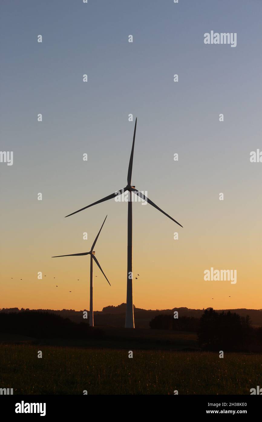 Windmühlen und Vögel bei Sonnenuntergang an einem Herbstabend Stockfoto