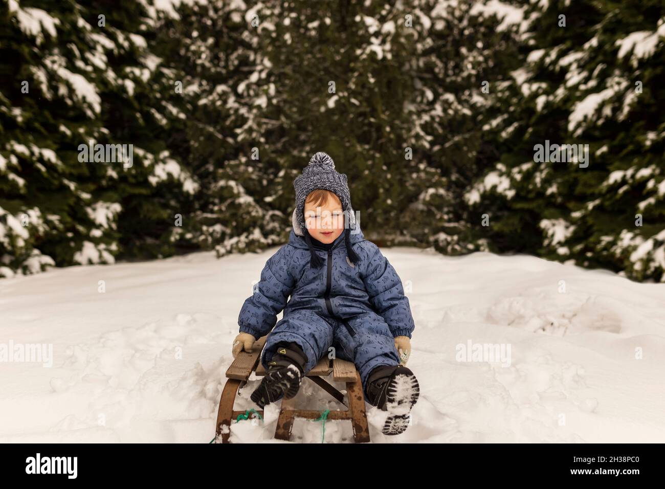 Kleinkind Junge sitzt auf einem Schlitten gleiten von einem Schneefeld in for Stockfoto