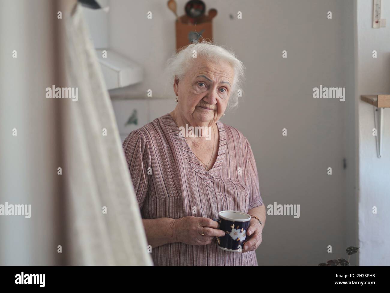 Porträt einer älteren Dame in ihrer Küche Stockfoto