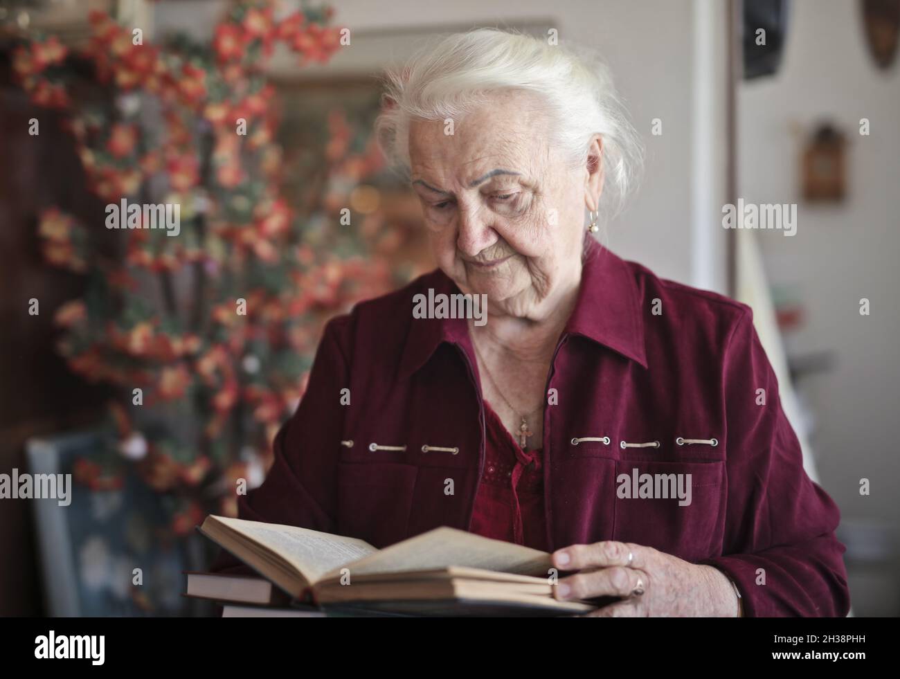 Porträt einer älteren Dame beim Lesen eines Buches Stockfoto