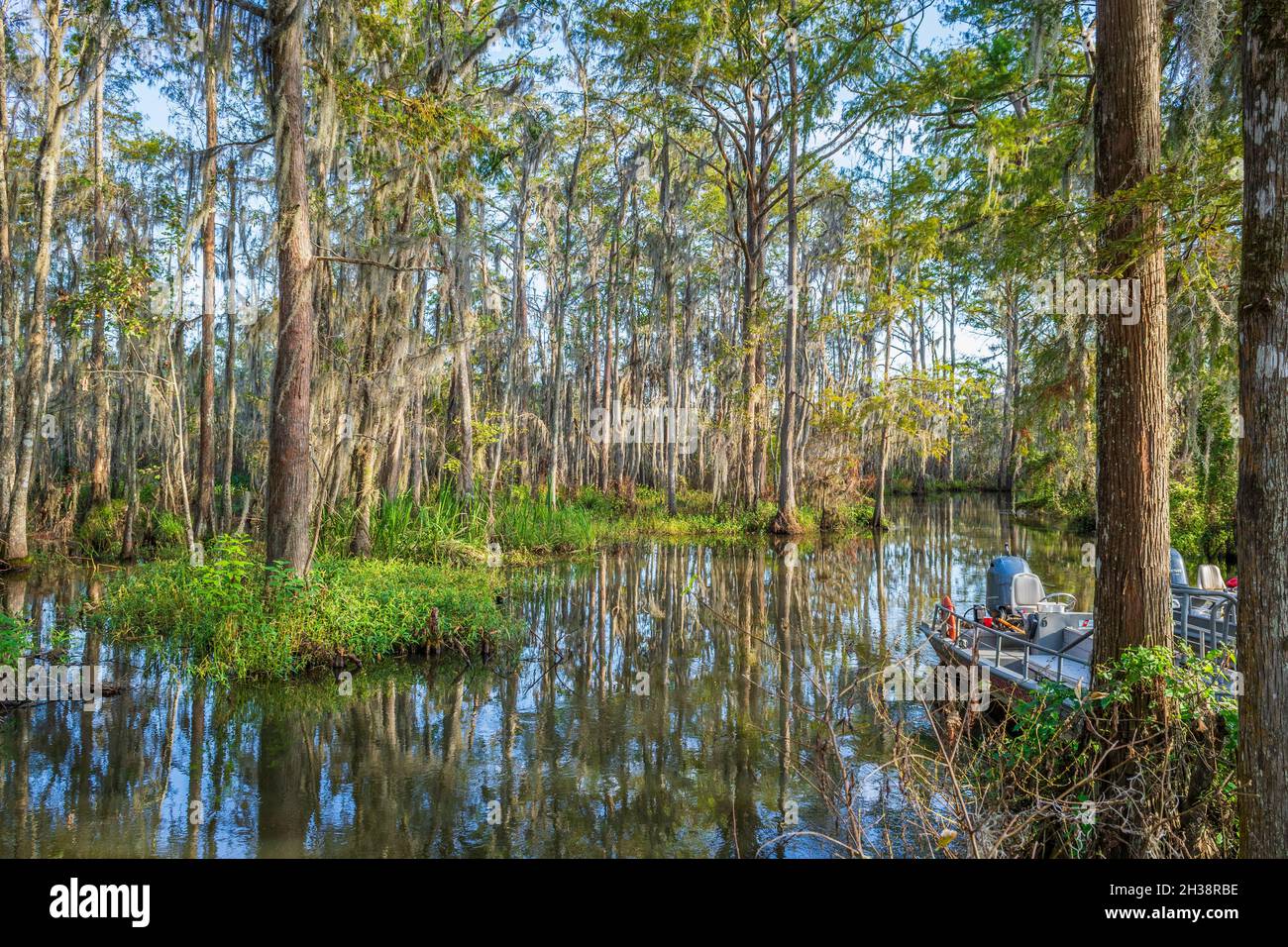 Louisiana Sumpflandschaft in St. Tammany Parish, USA Stockfoto