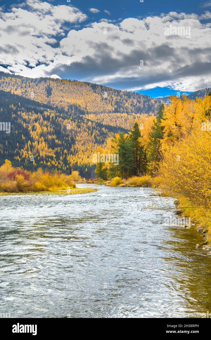 Herbstfarben entlang des clark Fork River im Beavertail Hill State Park in der Nähe von clinton, montana Stockfoto