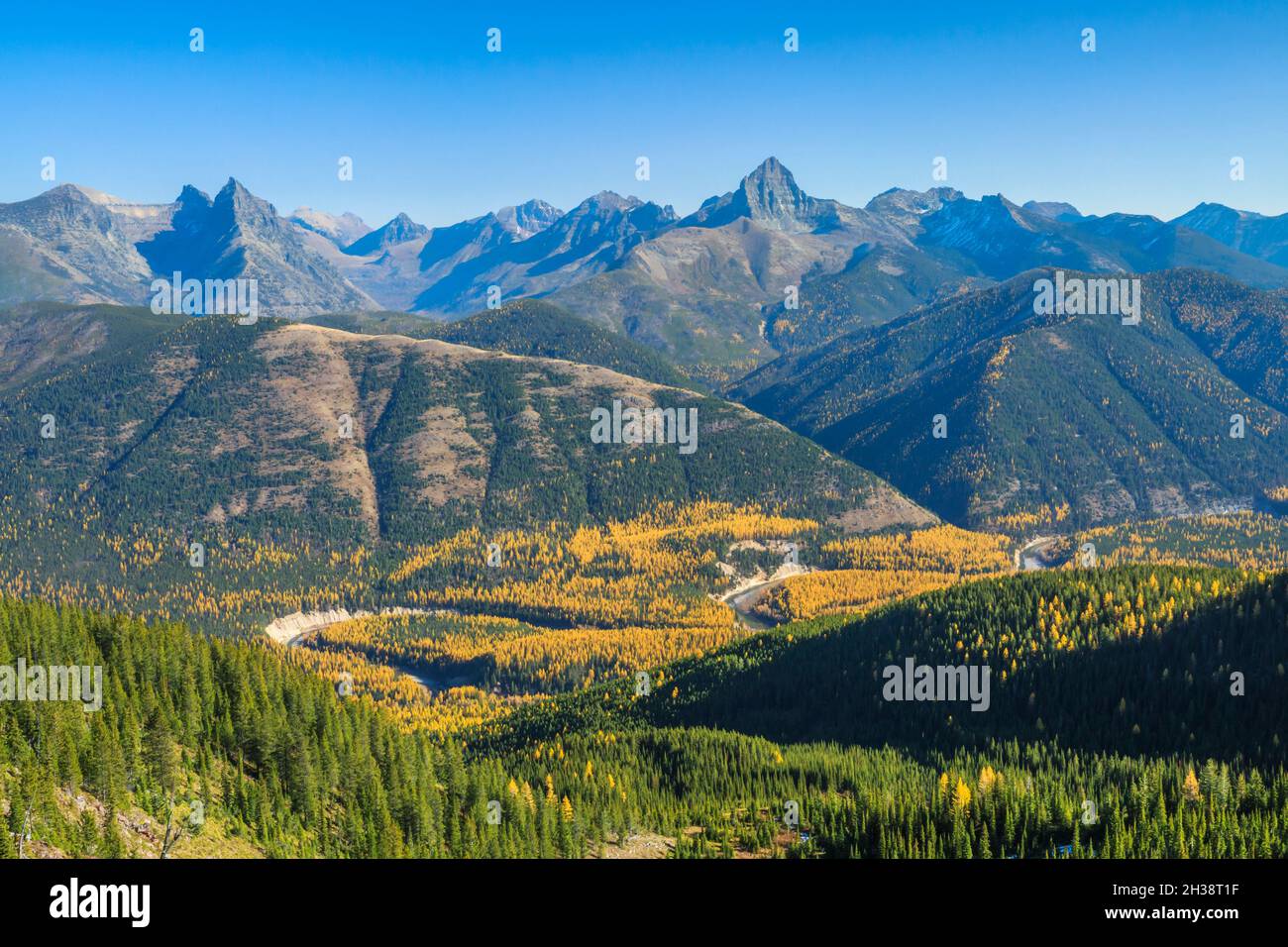 Die Gipfel des Gletschernationalparks, die über der herbstlichen Lärche des Flathead River Valley der Mittelgabel emporragen, vom Grant Ridge in der Nähe von essex, montana, aus gesehen Stockfoto
