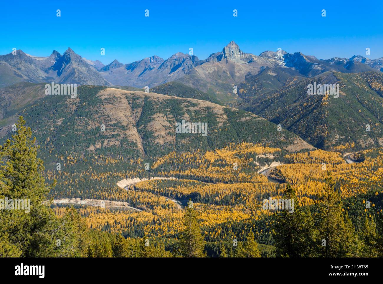 Die Gipfel des Gletschernationalparks, die über der herbstlichen Lärche des Flathead River Valley der Mittelgabel emporragen, vom Grant Ridge in der Nähe von essex, montana, aus gesehen Stockfoto