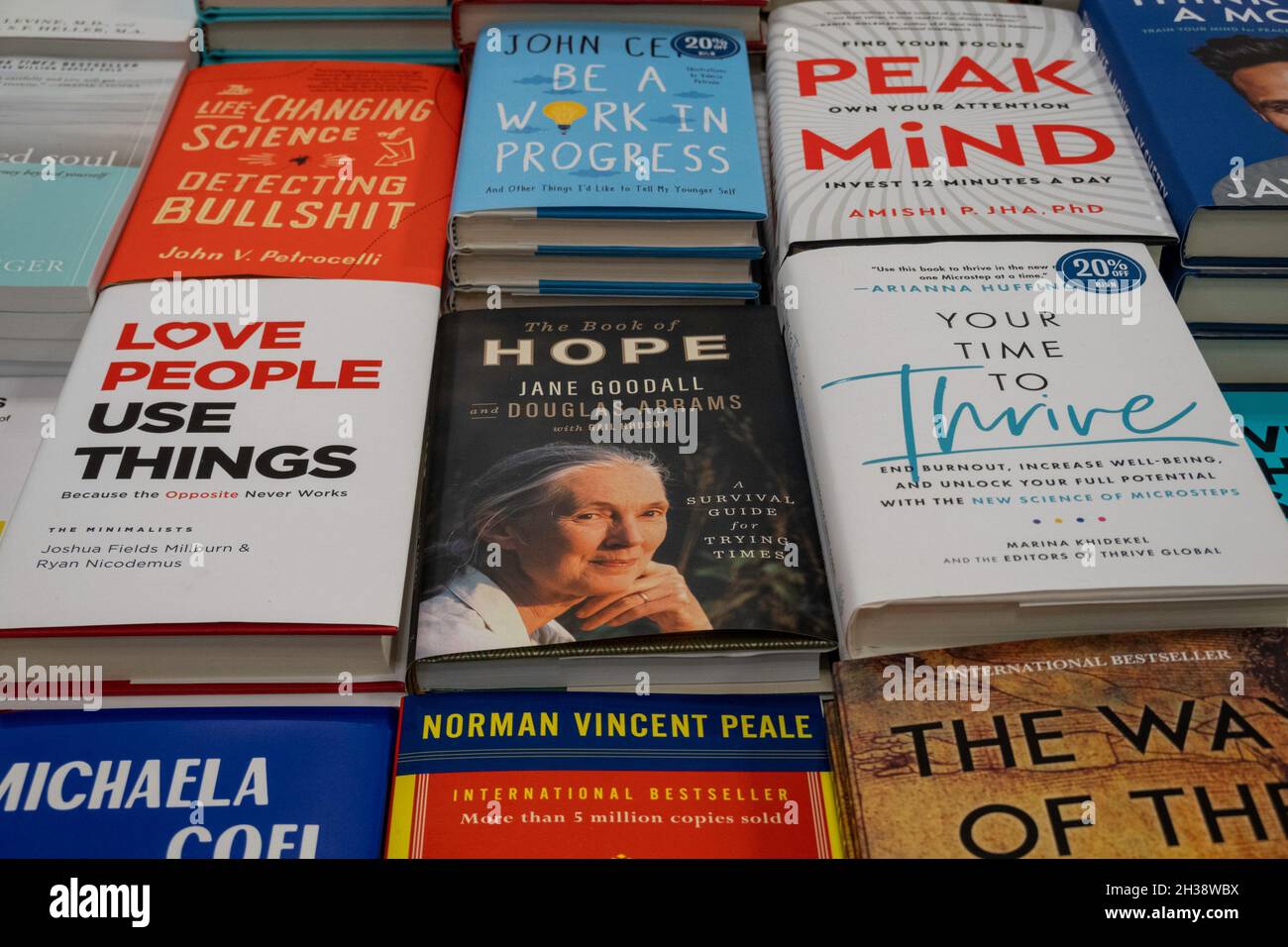 Barnes & Noble Booksellers auf der Fifth Avenue in New York City hat eine große Auswahl an Produkten, USA Stockfoto