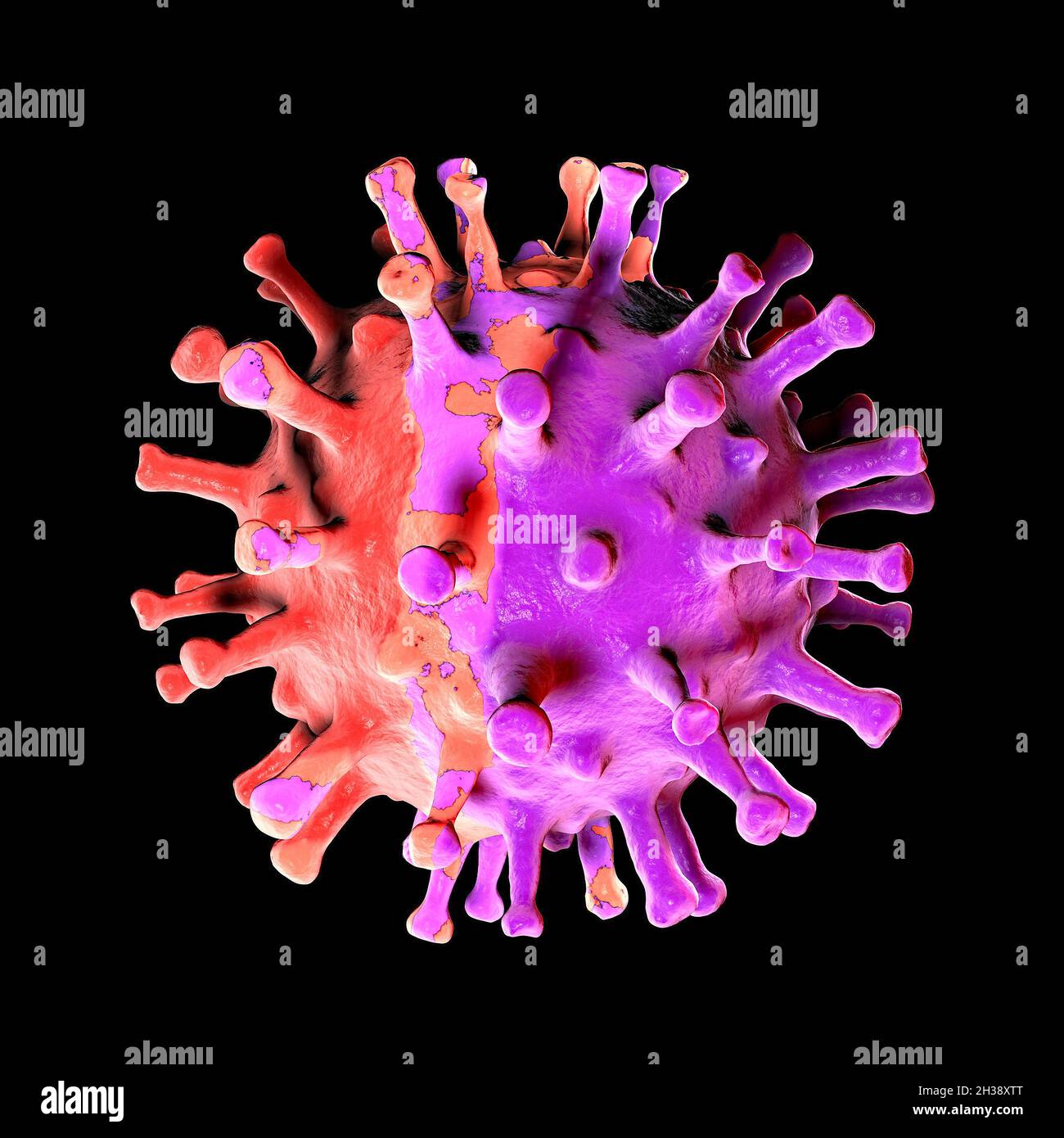Virus, Detail unter dem Mikroskop, Mutationen und Varianten des Coronavirus, sars-Cov-2. Vergrößerung. Weißer Hintergrund. Covid-19 Stockfoto