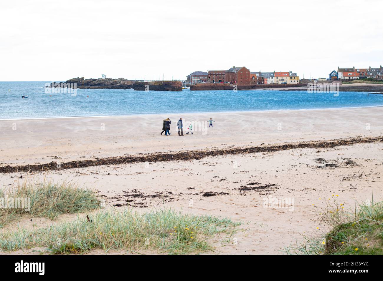 West Beach, North Berwick, Schottland, Großbritannien - Familiengruppe, die an windigen Tagen am Strand entlang läuft Stockfoto