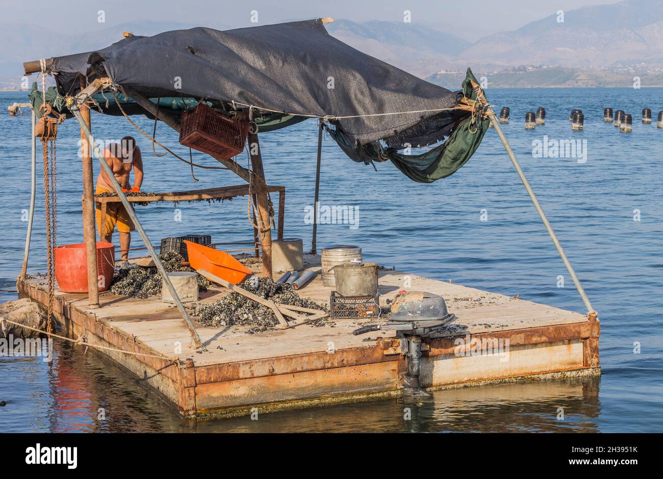 Saranda, Albanien - 19. September 2018: Ein Mann schält Muscheln auf einem primitiven Boot oder Floß auf einer Muschelfarm in Saranda, Albanien. Frische ökologische Meeresfrüchte. Stockfoto