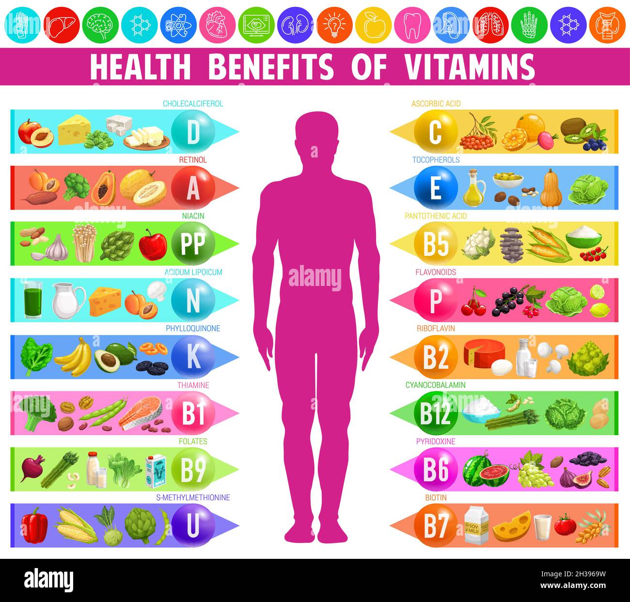 Vorteile und Quellen von Vitaminen und Mineralstoffen, Vektor-Infografik  Tabelle mit dem menschlichen Körper. Lebensmittel Regenbogenfarben und  Ernährung Vitamine für die Gesundheit b Stock-Vektorgrafik - Alamy
