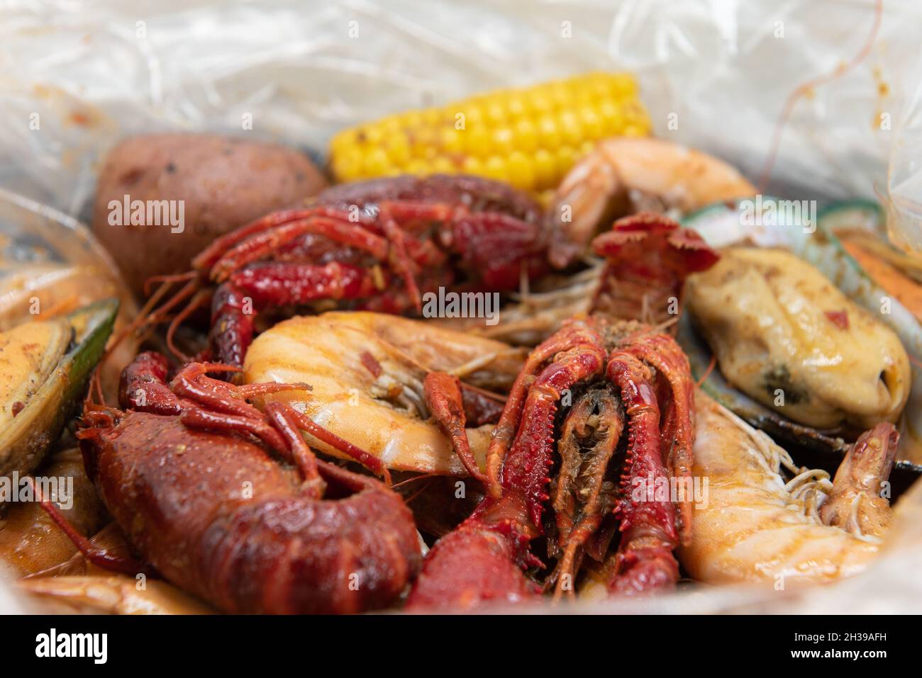 Gekochter Topf mit gemischten Meeresfrüchten voller Krebse, Garnelen, Mais und Kartoffeln wird den Bauch mit butterigen Güte füllen. Stockfoto