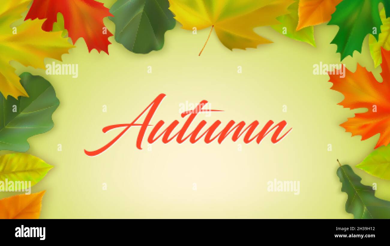 Herbstlaub aus Ahorn und Eiche mit Aufschrift Herbst auf farbigem Hintergrund. Herbst Zusammensetzung der realistischen Farbe fallen Blätter. Vektorgrafik Stock Vektor