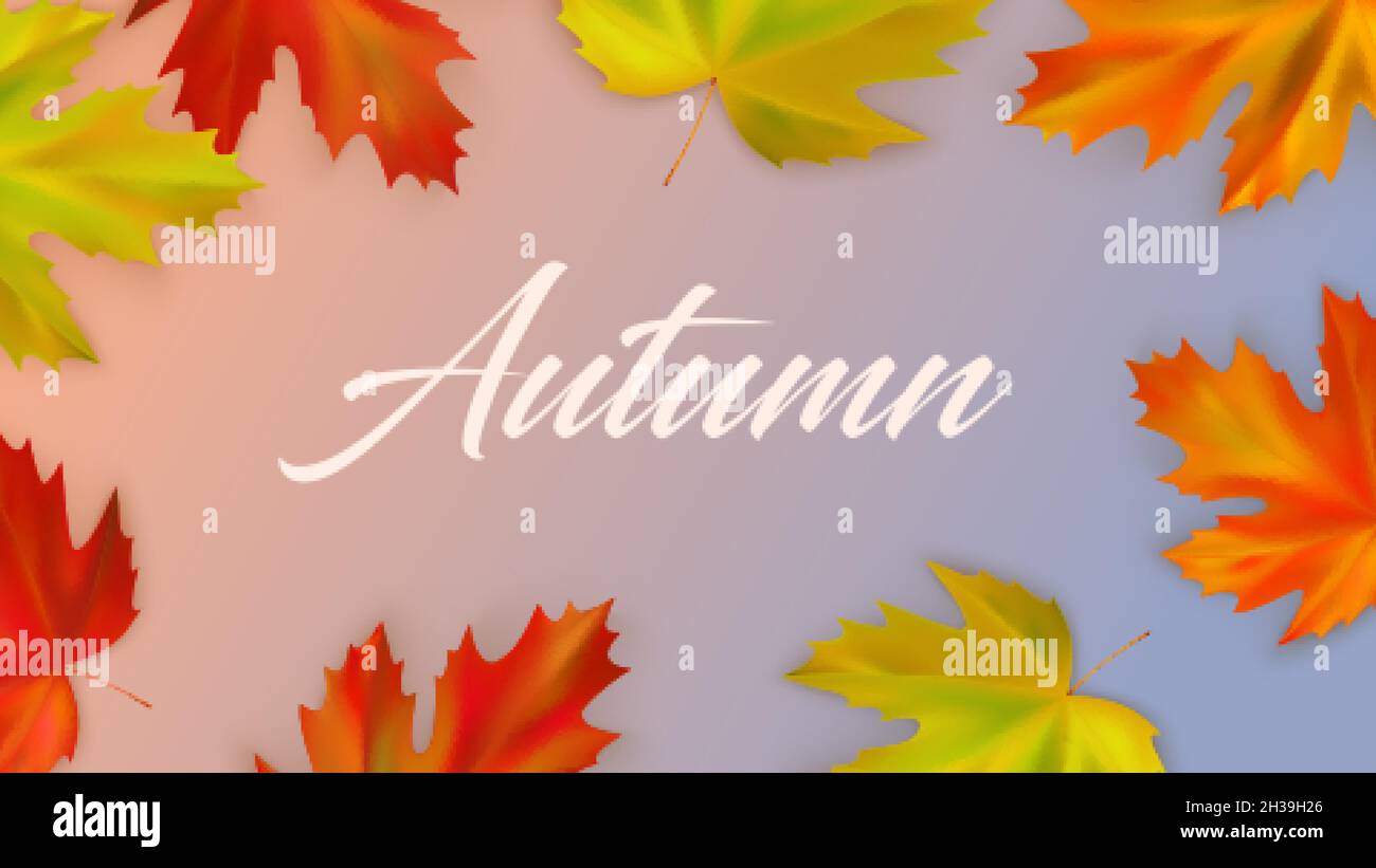 Herbst Zusammensetzung der realistischen Farbe fallen Ahornblätter. Vektorgrafik Stock Vektor