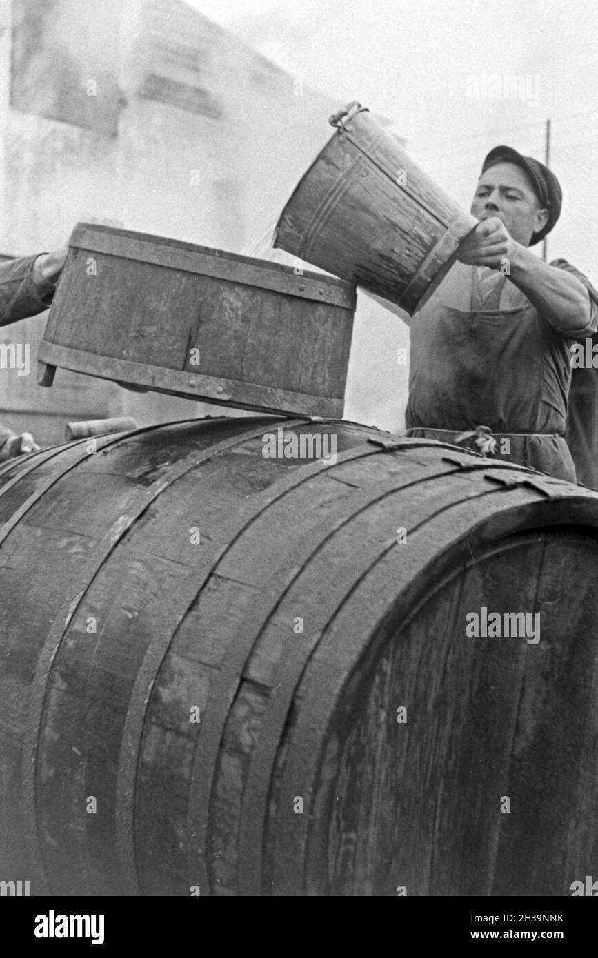 Böttcher bei der Fassherstellung und Gebäude in Serrig, Deutschland 1930er Jahre. Coopers Bau ein Faß her die neue geernteten Wein in Serrig, Deutschland 1930. Stockfoto