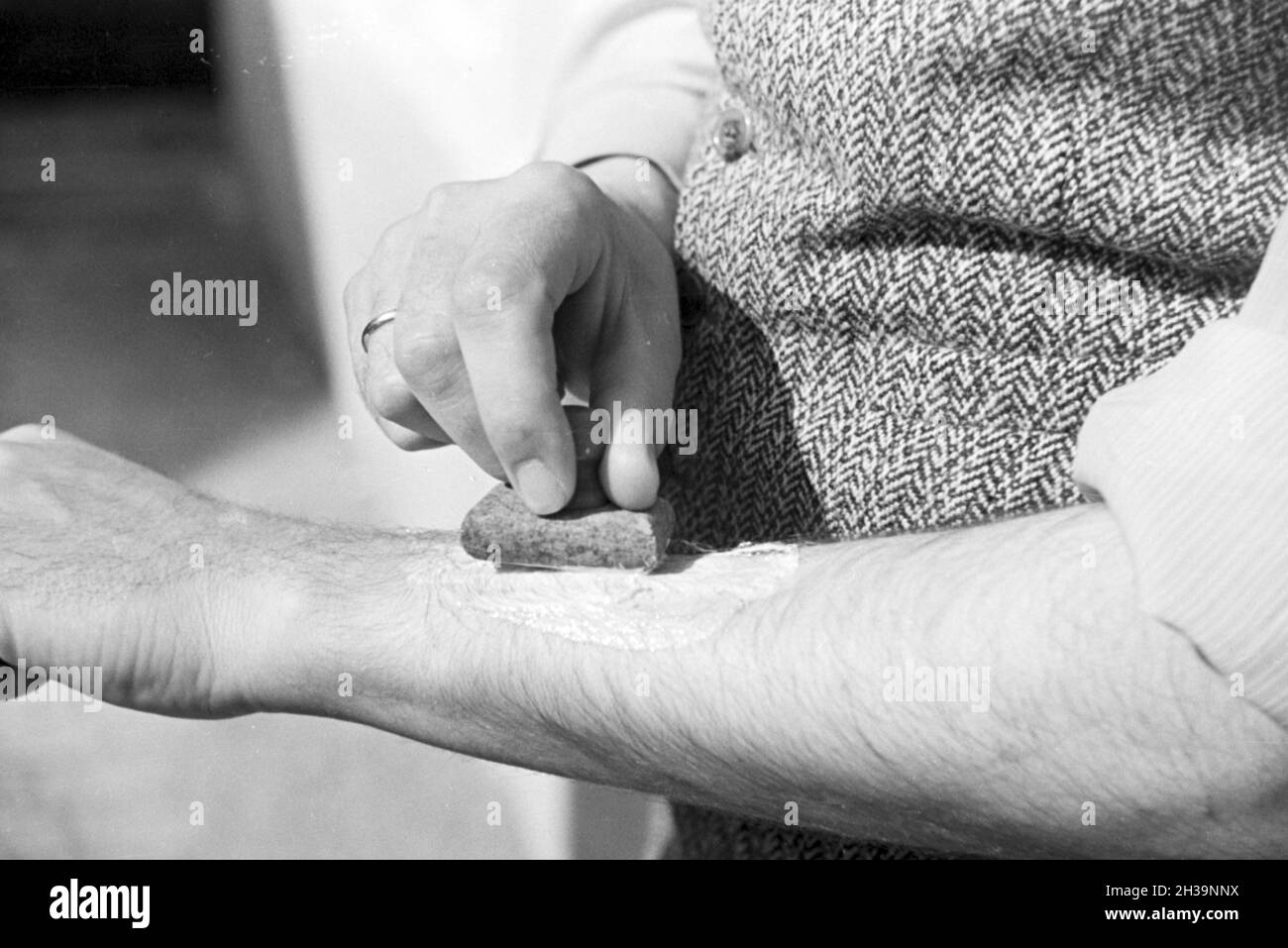Gewinnung von Bienengift bei der Pharmafirma Mack in Illertissen, Deutschland 1930er Jahre. Extraktion von Bienengift bei Mack pharmceutical Unternehmen in Illertissen, Deutschland 1930. Stockfoto