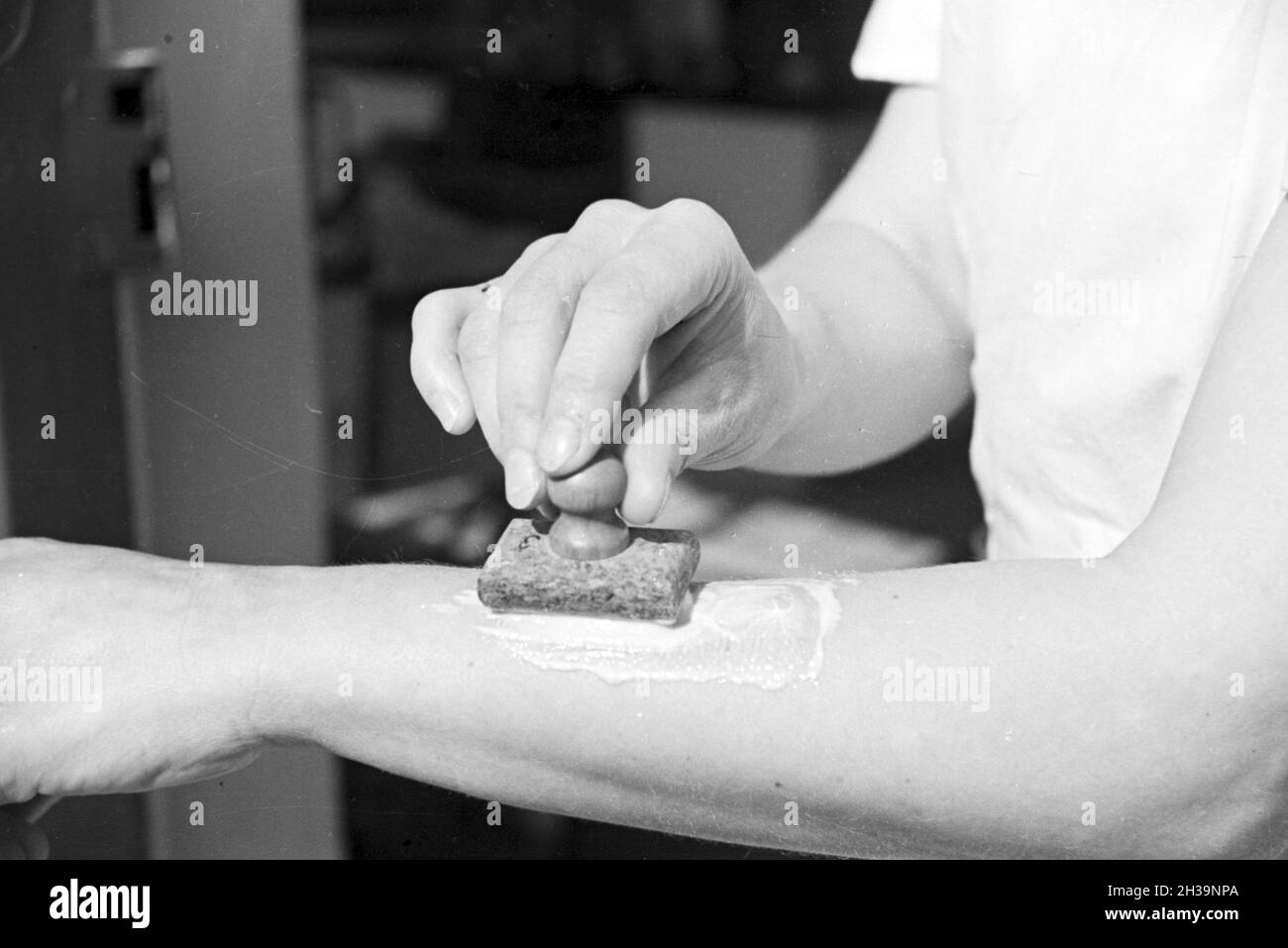 Gewinnung von Bienengift bei der Pharmafirma Mack in Illertissen, Deutschland 1930er Jahre. Extraktion von Bienengift bei Mack pharmceutical Unternehmen in Illertissen, Deutschland 1930. Stockfoto