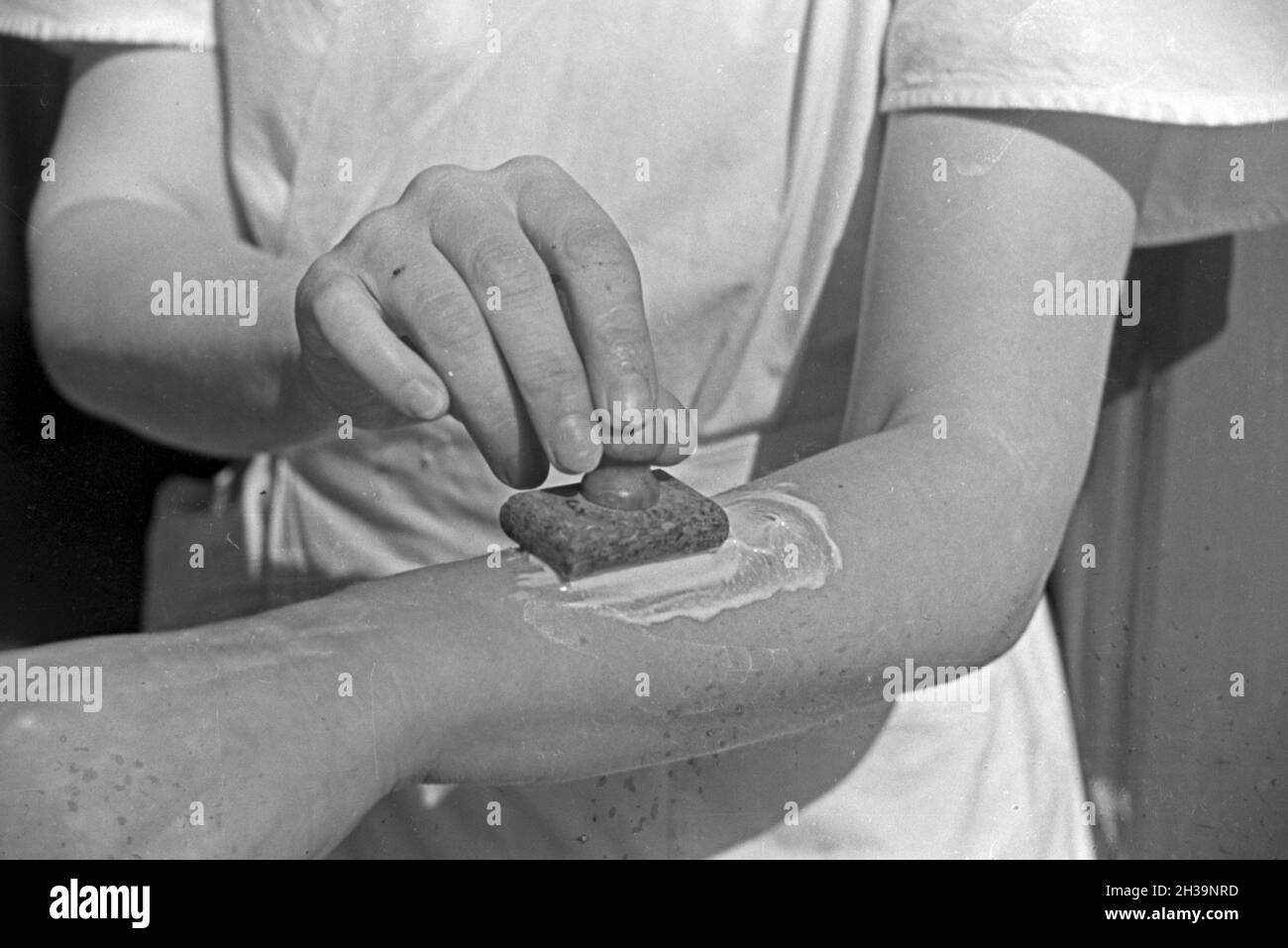 Gewinnung von Bienengift bei der Pharmafirma Mack in Illertissen, Deutschland 1930er Jahre. Extraktion von Bienengift bei Mack pharmceutical Unternehmen in Illertissen, Deutschland 1930. Stockfoto