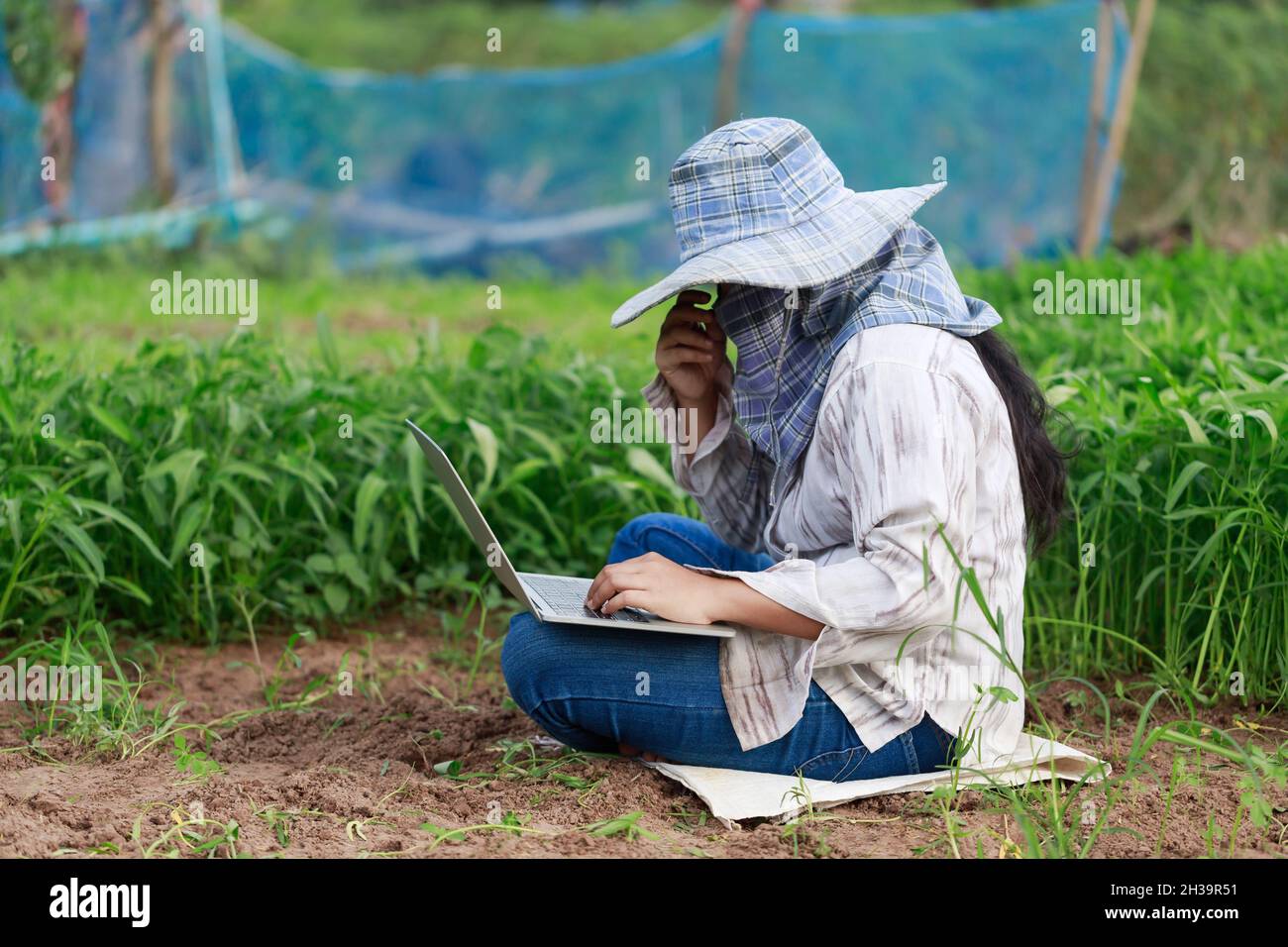 Thai Landwirt ist mit einem Laptop-Computer in einem frischen Morgen Glory Gemüsefarm, Bio gesunde Lebensmittel und Technologie-Konzept, wählen Fokus flach dept Stockfoto