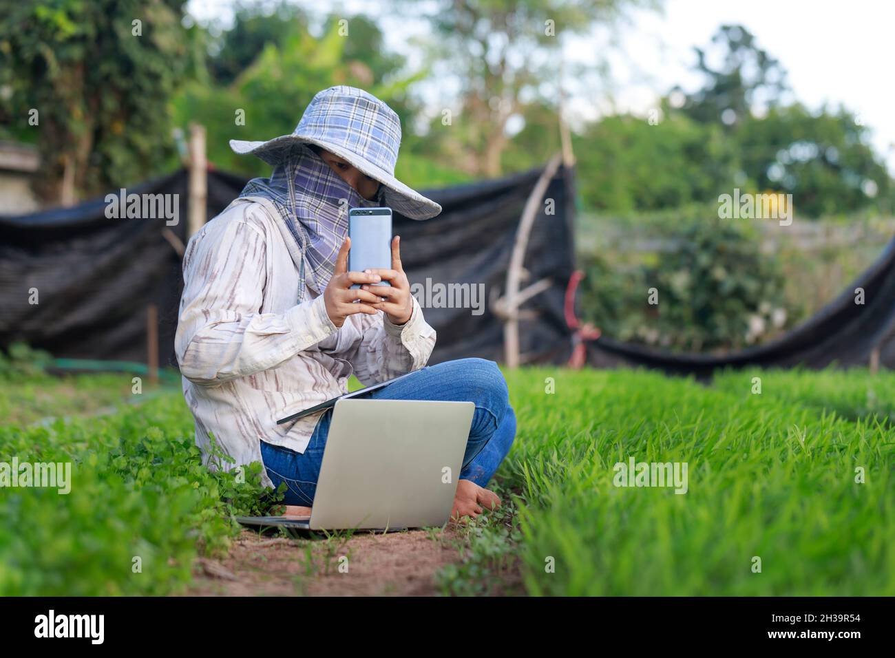 Thai Farmer mit einem Smartphone ein Foto Selfie in der Morning Glory Gemüsefarm zu nehmen, für die Bio-und Smart-Farming-Konzept, wählen Sie Fokus Sha Stockfoto