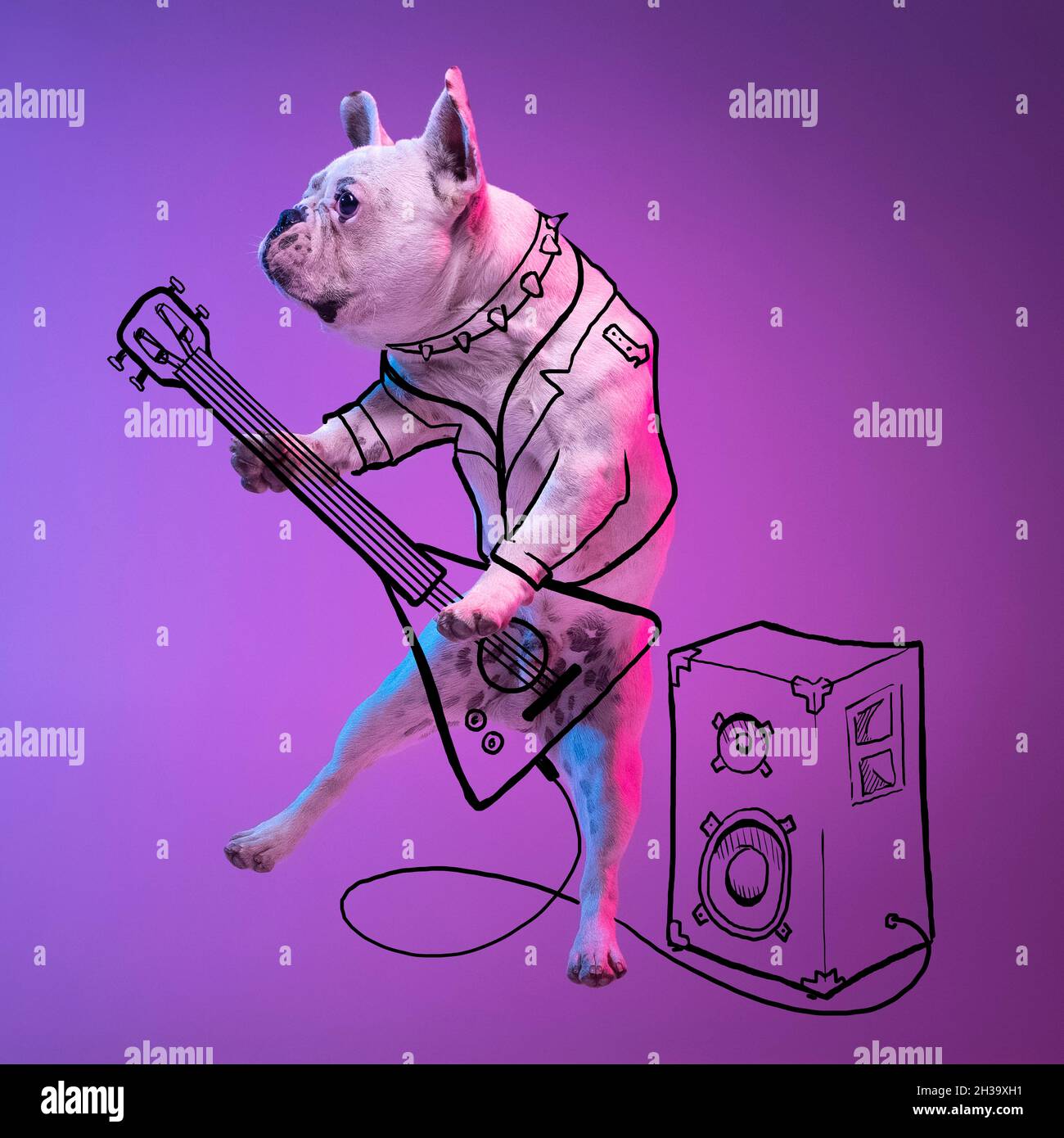 Bildmaterial. Ein süßer kleiner Hund, Bulldogge spielt Gitarre isoliert auf gradienten neonrosa blauen Studio-Hintergrund mit Zeichnungen. Stockfoto