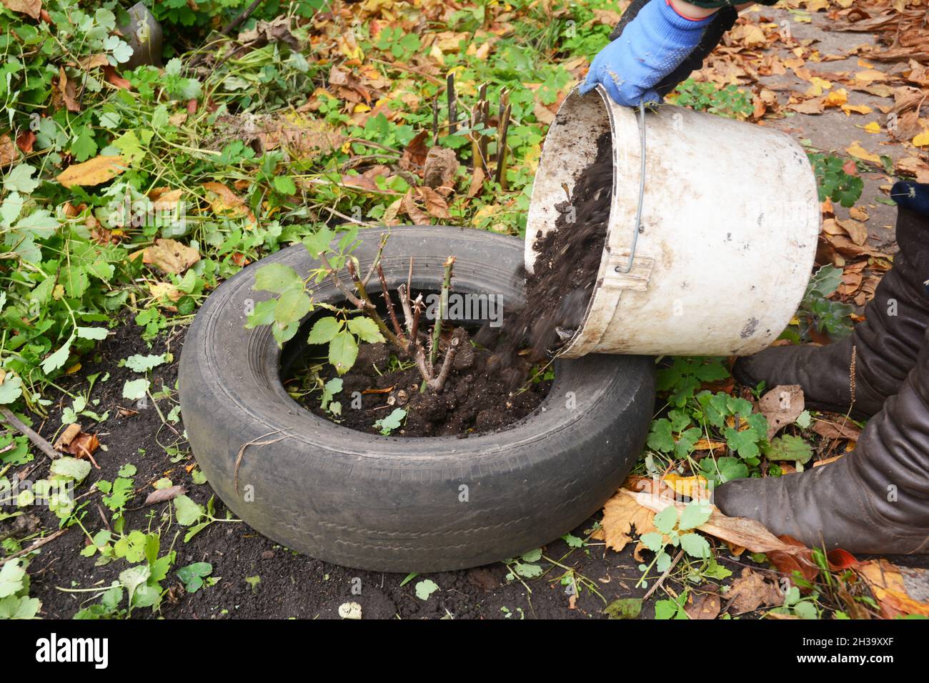 Winterabsicherung Fotos und Bildmaterial in hoher Auflösung Alamy