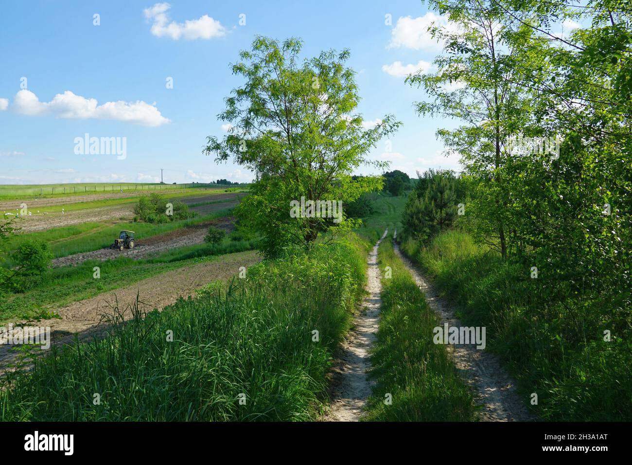 Polnische Landschaft. Unbefestigte kurvenreiche Straße, Region Roztocze, Polen Stockfoto