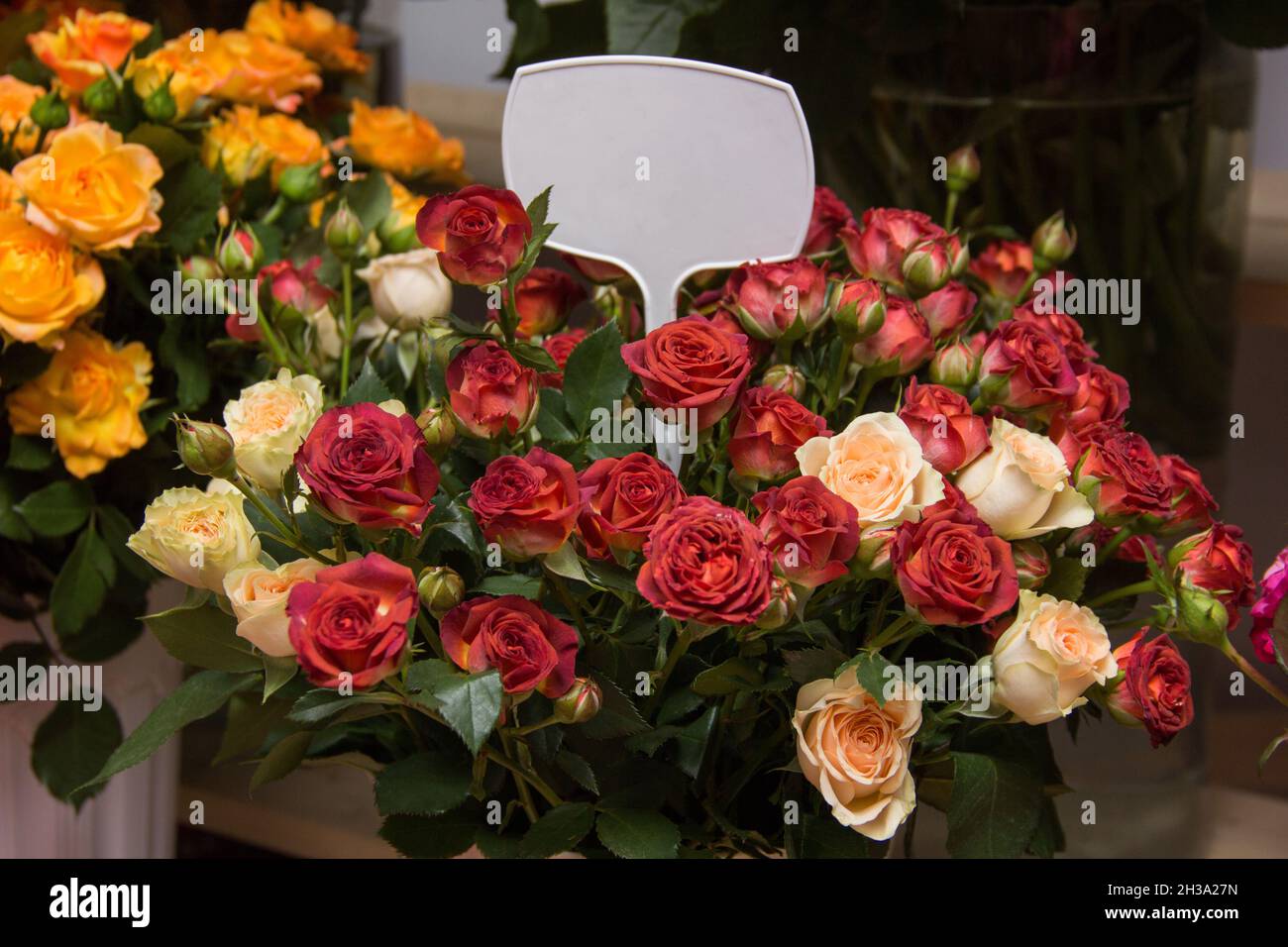 Roses Stand Fenster Blumenladen. Verkauf von Blumen. Blumen mit Preisschild. Sorten von Rosen. Farbenfrohes Rosengeschäft Stockfoto