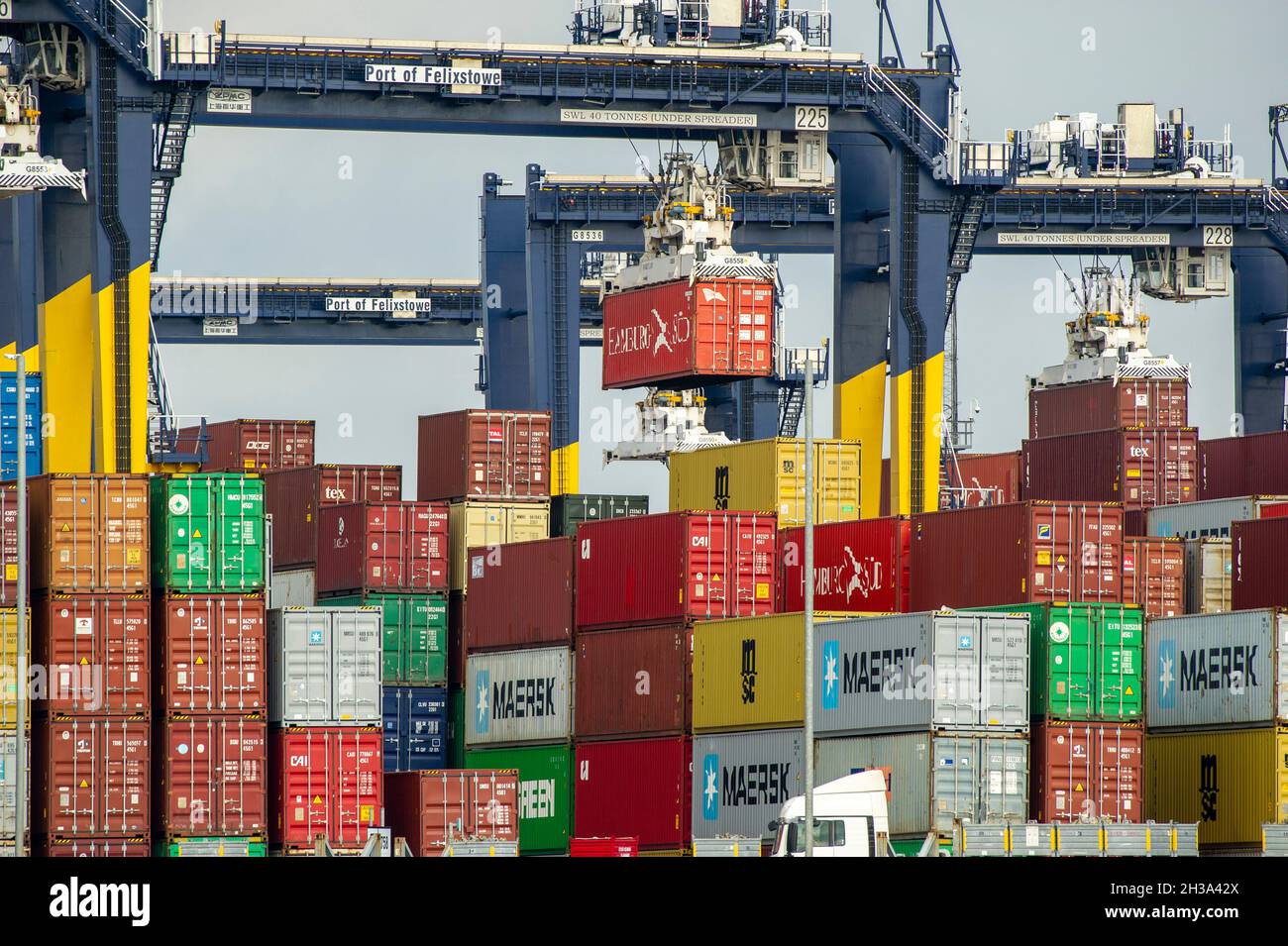 Immergrüner Behälter, der jemals im Felixstowe Container Port gegeben wurde, Suffolk Photography by Jason Bye t: 07966 173 930 e: mail@jasonbye.com w: www.jasonbye.com Stockfoto