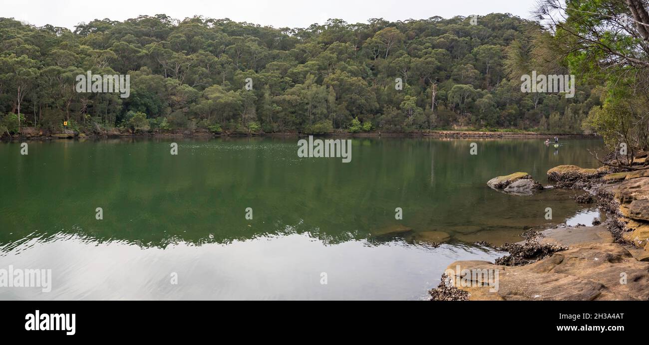 Im unberührten Wasser des oberen Hafens von Sydney, in der Nähe des Two Creeks Track und der Roseville Bridge in Australien, paddeln die Menschen mit einem Kajak und einem Stehpaddel Stockfoto